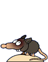 Maus
