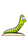 Raupe